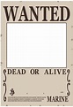 One Piece Wanted Poster Creator Create an awsome and funny wanted ...