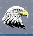 美国国旗的秃鹰 库存例证. 插画 包括有 艺术, 吉祥人, 烧杯, 猎鹰, 埃及, 投反对票, 亚马逊 - 188589522