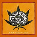 Black Power Flower: Brant Bjork and the Low Desert Punk Band, Brant ...