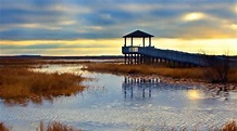 Visita Lago Charles: El mejor viaje a Lago Charles, Louisiana, del 2024 ...