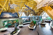 Philip J. Currie Dinosaur Museum