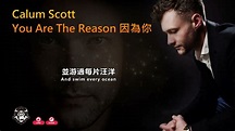 卡倫·史考特 Calum Scott #You Are The Reason 因為你 中文歌詞 https://www.youtube.com ...
