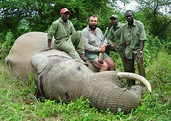 United States – Trophy Hunting Elephants and Lions | IWB