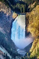 Upper Yellowstone Falls Photograph by James BO Insogna - Fine Art America