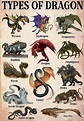 Different types of dragons. : r/coolguides