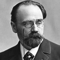 The Naturalism of Émile Zola – Literary Theory and Criticism