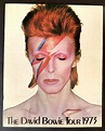 David Bowie Ziggy Stardust/ Aladdin Sane 1973 UK Tour Programme ...