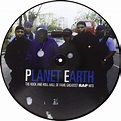 Planet Earth: Rock & Roll Hall of Fame Greatest (Vinyl): Public Enemy ...