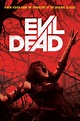 Poster Evil Dead (2013) - Poster Cartea morților - Poster 1 din 23 ...