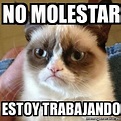 Meme Grumpy Cat - no molestar estoy trabajando - 22306220