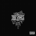 The Vines: VISION VALLEY Review - MusicCritic