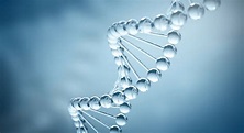 The Discovery of the DNA Double Helix: What It Means to Us All | DDC