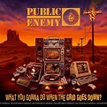 Public Enemy: What You Gonna Do When The Grid Goes Down Vinyl & CD ...