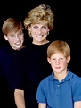 HBO prepara documentário sobre a Princesa Diana com aval de seus filhos ...