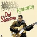 Runaway - Del Shannon Testo della canzone