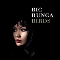 beware late night thinking: Fave Albums: Bic Runga - Birds