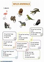 Wild animals online pdf worksheet | Live Worksheets