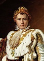 Napoléon Bonaparte - Napoleon Bonaparte - Wikipédia Sunda, énsiklopédi ...