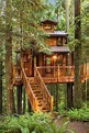 34 Stunning Tree House Designs You Never Seen Before - MAGZHOUSE ...