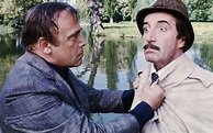 La pantera rosa sfida l'ispettore Clouseau: Guida TV, Trama e Cast - TV ...