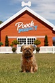 Pooch Perfect (TV Series 2020- ) — The Movie Database (TMDB)