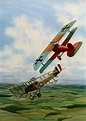 Kurt Wolff albatros | Vintage aircraft, Aircraft, Aircraft art