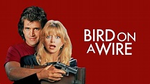 Ein Vogel auf dem Drahtseil - Kritik | Film 1990 | Moviebreak.de