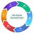 GLOBE-Net The Importance of Life Cycle Analysis - GLOBE-Net