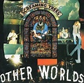 Screaming Trees - Other Worlds (1988, Vinyl) | Discogs