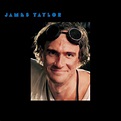 James Taylor Dad Loves His Work - vinyl LP