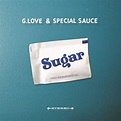 Nothing Quite Like Home by G. Love and Special Sauce from the album Sugar