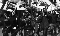 What you probably don't know about the Black Panthers