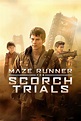 Maze Runner: The Scorch Trials (2015) - Posters — The Movie Database (TMDB)