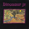 Dinosaur Jr. - Little Fury Things - Reviews - Album of The Year