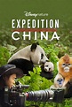 Expedition China (2017) - Dsman124 | The Poster Database (TPDb)