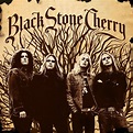 bol.com | Black Stone Cherry, Black Stone Cherry | CD (album) | Muziek