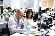 Gem School - Gemology School - Gemologist School