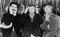 Die Marx Brothers im Zirkus: Trailer & Kritik zum Film - TV TODAY