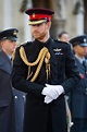 把軍旅生涯看得極重 傳哈利王子要力爭保留榮譽軍銜 | 王室這些事 | 國際 | 世界新聞網