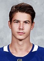 Nikolay Goldobin Hockey Stats and Profile at hockeydb.com