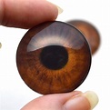 Medium Brown Human Glass Eyes – Handmade Glass Eyes