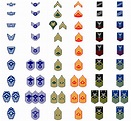 Enlisted grade insignia : r/SpaceForce