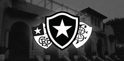 Botafogo de Futebol e Regatas | Biografia e Wiki | VAVEL Brasil