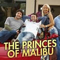 The Princes of Malibu: Season 1, Episode 6 - Rotten Tomatoes