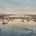 Sara Groves - Floodplain (CD), Sara Groves | CD (album) | Muziek | bol
