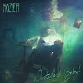 Hozier - Wasteland, Baby! (Vinyl) | MusicZone | Vinyl Records Cork ...