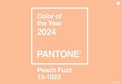 Pantone® dévoile la couleur de l'année 2024 - Blog - Macap
