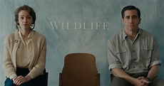 Revisa el trailer de Wildlife, nueva película de Carey Mulligan y Jake ...