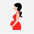 Mujeres Embarazadas Sin Material Png PNG ,dibujos Original, Pintado A ...