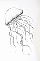 Jellyfish, Original Handmade Drawing on Paper, Fine Line Artwork in ...